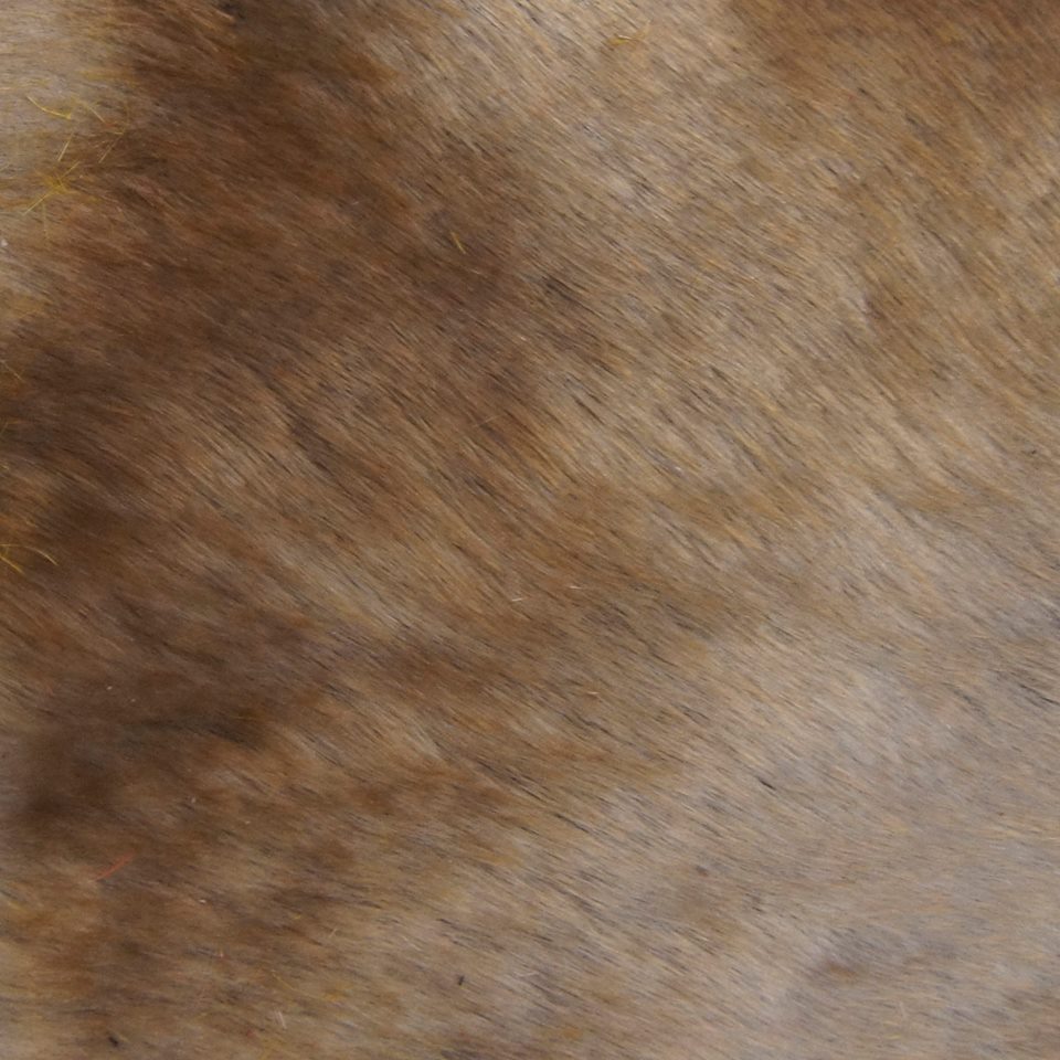 10006937_684875288239748_1842805190_n