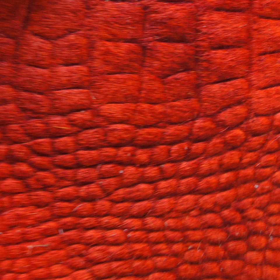 1621733_684875771573033_1767698579_n