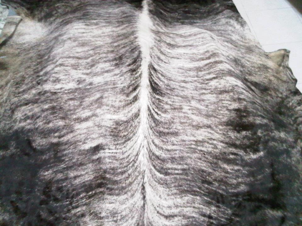 304179_237214363005845_1772406325_n